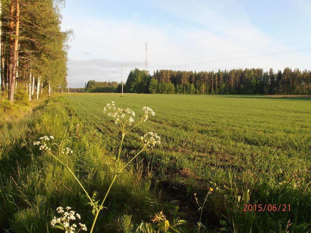 Kalliomajat Ylivalli Exterior photo